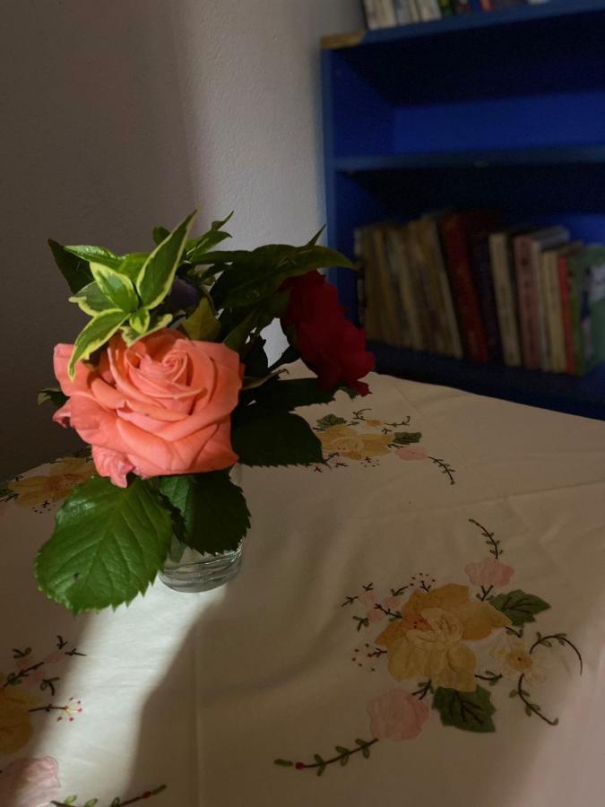 Gather Inn Guest House Shkodër Esterno foto